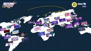 Show Champion 15 Nov