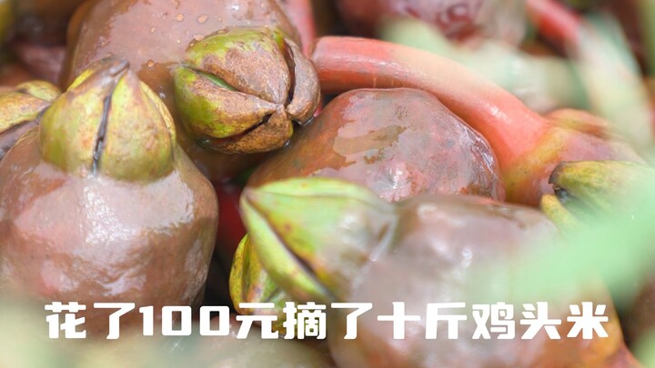 鸡头米居然是制作桂花芡实糕的原料