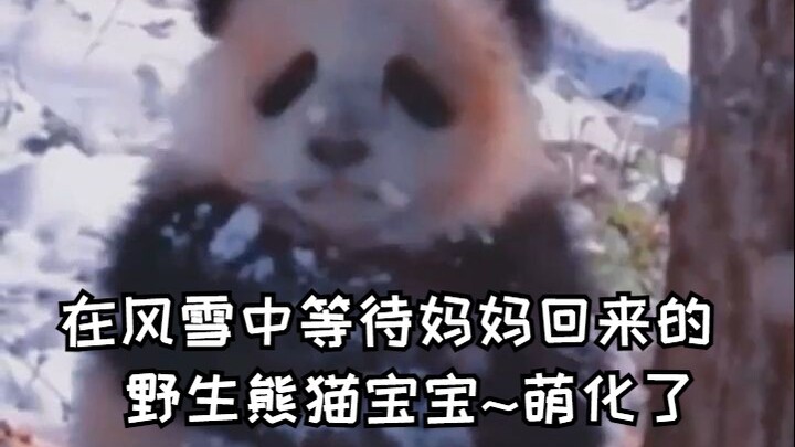 จูบและกอดครั้งสุดท้าย ทำให้หัวใจละลายไปหมด!