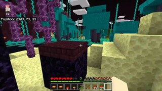 HEBI THỬ THÁCH 24 GIỜ NHẬN NUÔI BÉ BLOCK KIM CƯƠNG TRONG MINECRAFT_HEBI SỞ HỮU T