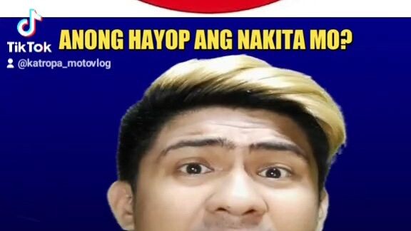 Anong "HAYOP" ang nakita mo dito sa larawan?