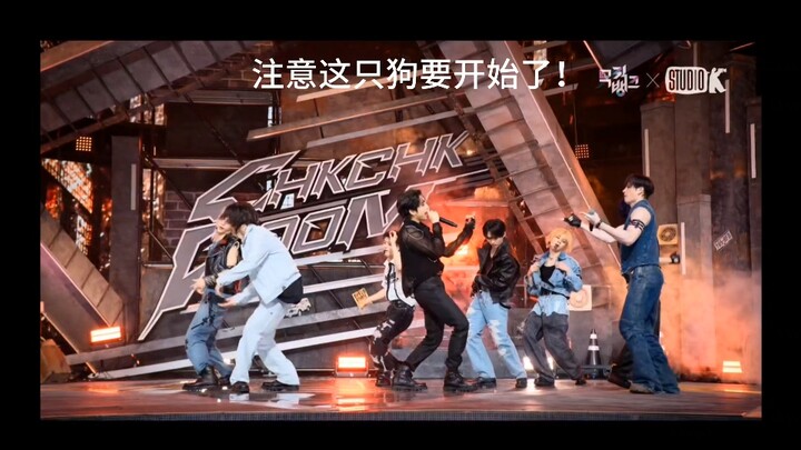 【خطير】كلب لم يجد من يواسيه