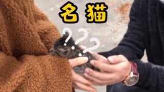 我在车底捡到一只小奶猫！！
