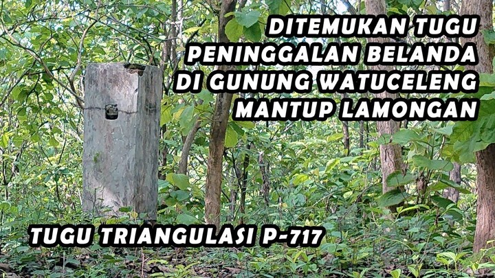 DITEMUKAN TUGU PENINGGALAN BELANDA DI GUNUNG WATUCELENG MANTUP LAMONGAN (TUGU TRIANGULASI P-717)