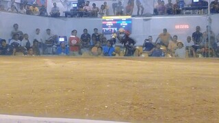 2Hits Pa champion Second Fight Garay Cockpit Arena 🏆 CHAMPION🐓💸