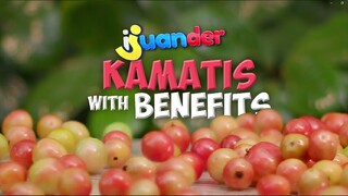 Saan-saan puwedeng gamitin ang kamatis? (Full Episode) | I Juander