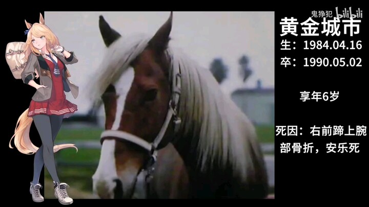 A Look Back at the Legendary Uma Musume: Pretty Derby Stars Who Passed Away in 2021 — May They Be Fr