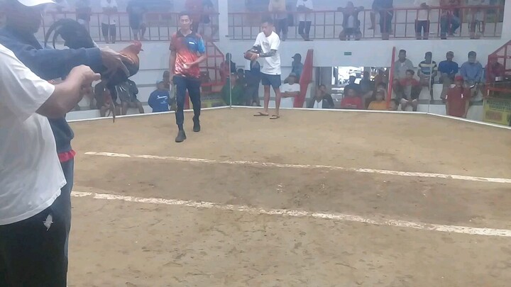 2 salpak.. buti nkaganti sa baba # manlulupa# fastestkill😁