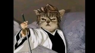 Tôi có bị lừa không?