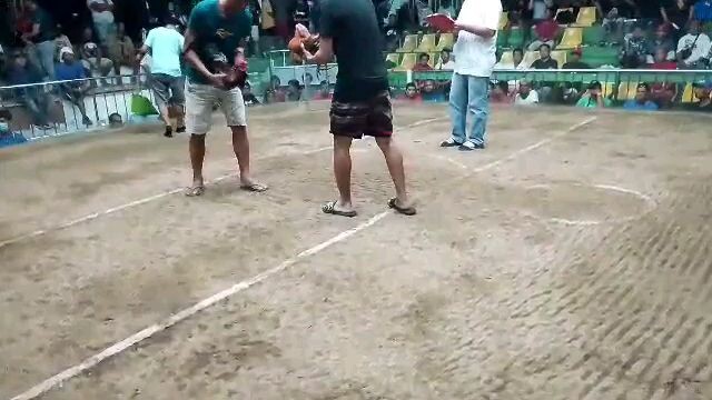 lakas mo talaga masbate gold!