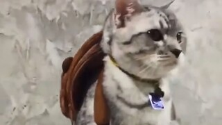 A true portrayal of modern-day life for those drifting in Beijing...