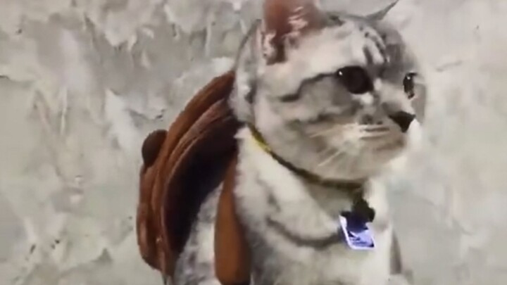 当代北漂生活的真实写照……