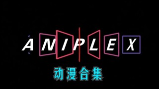 "Sản phẩm do ANIPLEX sản xuất, hoặc là sản phẩm chất lượng cao hoặc là sản phẩm bị cấm."