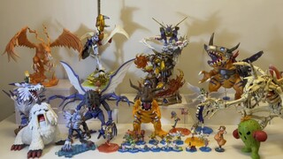 Digimon 01 Collection. (My original account StarryNison was banned due to mysterious power and I tra