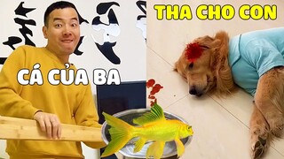 Tứ Mao | Khi Tứ Mao Dám Ăn Luôn " CÁ RỒNG " Của PaPa Và Hậu Quả Thì 😲 Gâu Đần Official