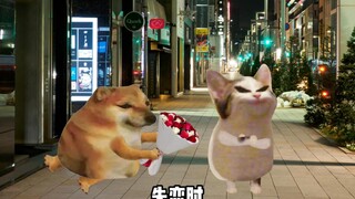 男生一整天都在干什么