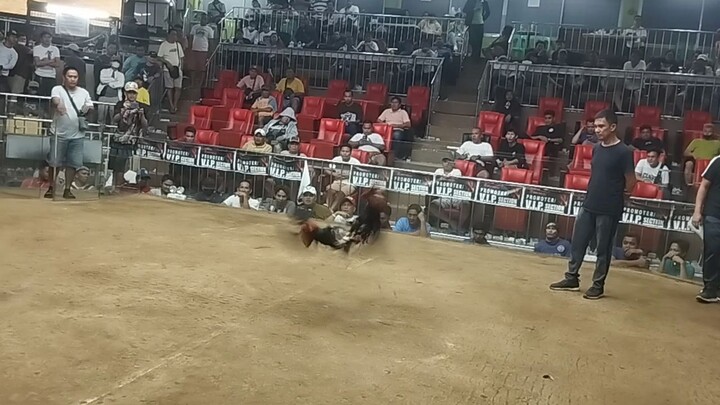 fight 1