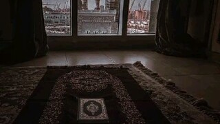 فيديو تهدئه القلوب