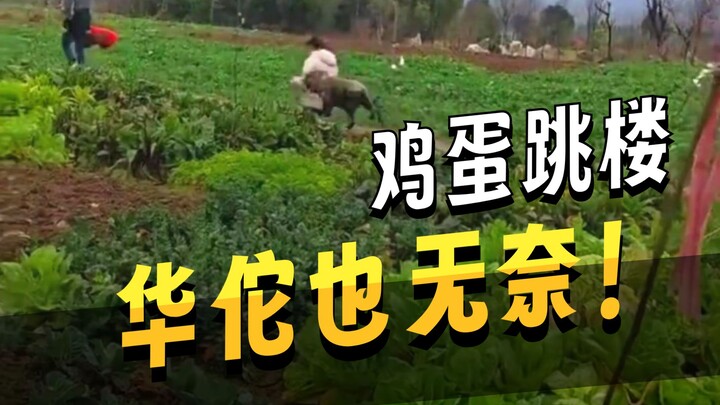 สัตว์ในสถานการณ์เหล่านี้ยังมีทางรักษาได้ไหม?