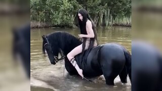 这骑马真TM的离谱了！