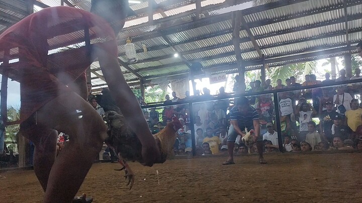 Laki nang kalaban, Bulik Win