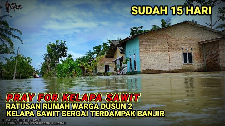 Banjir Masih Rendam Permukiman Warga di Dusun 2 kelapa sawit Tanjung Beringin Serdang bedagai