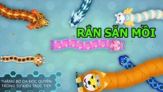 Snake.io - Trở Thành Vua Rắn Săn Mồi Top 1 Thế Giới Quá Nhiều Rắn - Top Game Cực Hay Android Ios