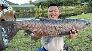 SAPA TV | GỎI CÁ LÁ RỪNG