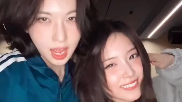 【Tu Ji Yao】3 Different Styles! JYP Girl Group “Where You At” Dance Challenge!