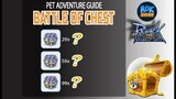 Newbie Experiment : Opening 20,50,99 Chests from Pet Adventure