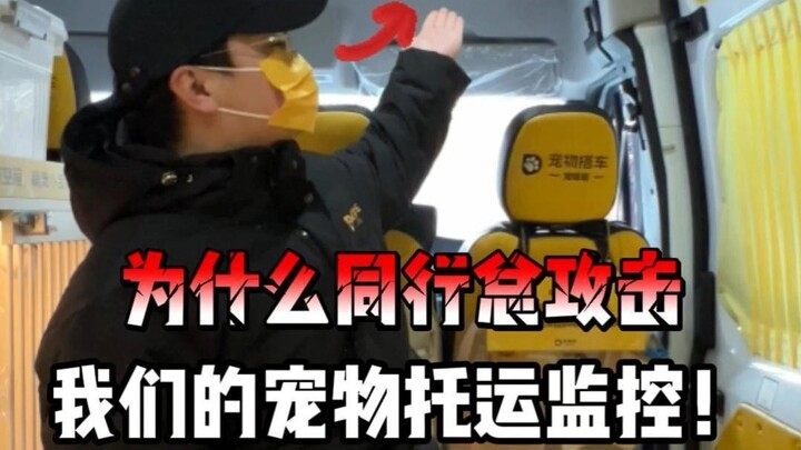 Why do our competitors keep attacking our pet shipping monitoring system?