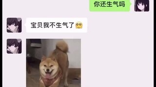 哄男朋友必杀技（我不提倡哦）