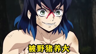 鬼灭之刃：原来伊之助在婴儿时期，曾被野猪妈妈收养过