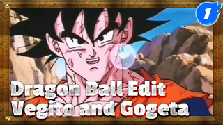 Vegito: Who Should Act First? Gogeta: Together, Together! | Dragon Ball_1