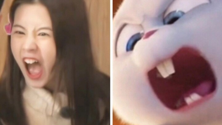 So cute, so cute! Is this rabbit really a magical spirit? #ChenDuling #Beauty #Cute