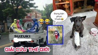 Top comment hài hước Face Book.