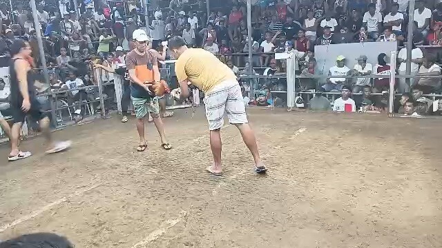 3rd fight, Bantilan Quezon, 7 Oct 2026, 1time winner hiraw. Win 🥇