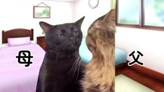 [Video Asli] Ayah yang Tidak Pulang ke Rumah | Meme Kucing