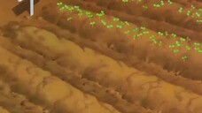 Cardcaptor Sakura 8 พากย์ไทย https://anifume.com/32683