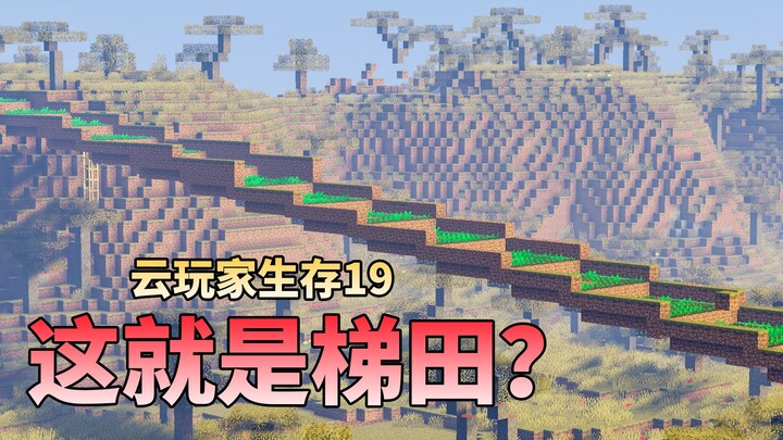 Minecraft Casual Player Survival 19: So This Is a Rice Terrace? My Lambs at Home Won’t Go Hungry Any