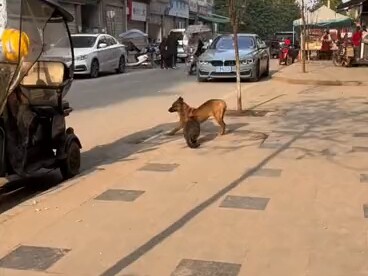 Rừng lớn thì đủ kiểu người, đúng là có cả mấy thằng nhuộm tóc vàng, vui thật đấy!