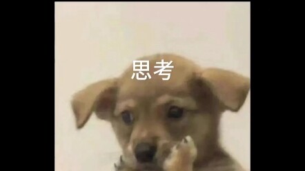 #นักศึกษาชาย ผมเข้าใจแล้ว ผมเข้าใจอีกแล้ว! #นักศึกษาชาย #ความขัดแย้ง #ความแตกต่างระหว่างนักศึกษาชายก