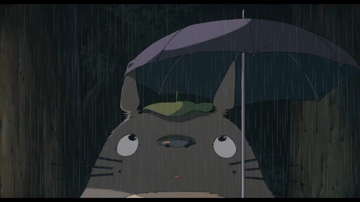 Totoro My Cuties Friend