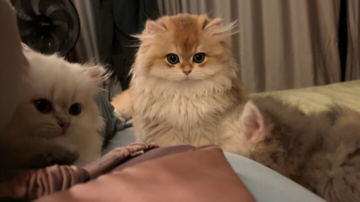 แทบจะตายอยู่บนเตียงแล้ว…