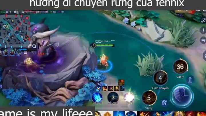 hướng di chuyển rừng của fennix p2