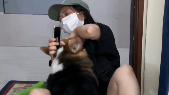 เรื่องหมาใจร้อนเกินไปจนเลียเพื่อนฉันจนหนีออกจากบ้าน ฮ่าๆๆๆๆ