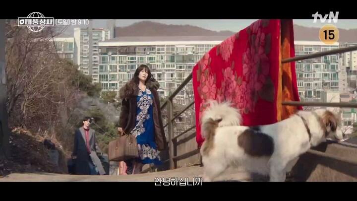 Typhoon family episode 5