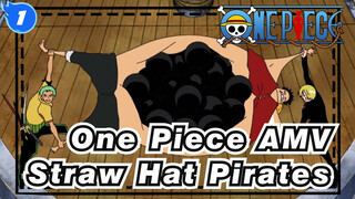 One Piece AMV
Straw Hat Pirates_1