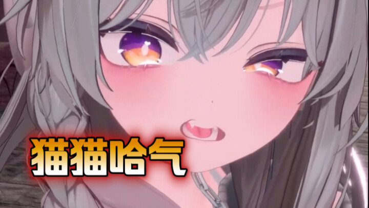 当猫猫想干坏事……