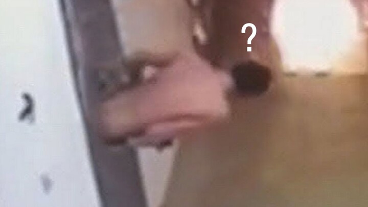 The most difficult prison escape in history